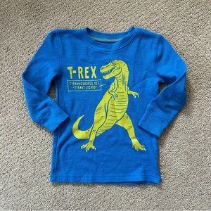 T-Rex, Long Sleeve, Waffle Texture, Blue & Green, Boys size 2T, Jumping Bean